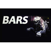 Bars