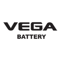 Вега