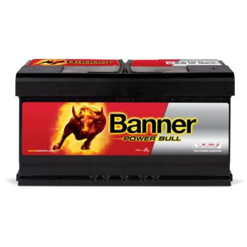 Аккумулятор для легковых автомобилей Banner Power Bull P95 33