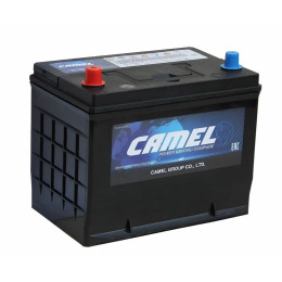 Аккумулятор Camel Asia (81 А·ч / 730 А) правый плюс для азиатских автомобилей